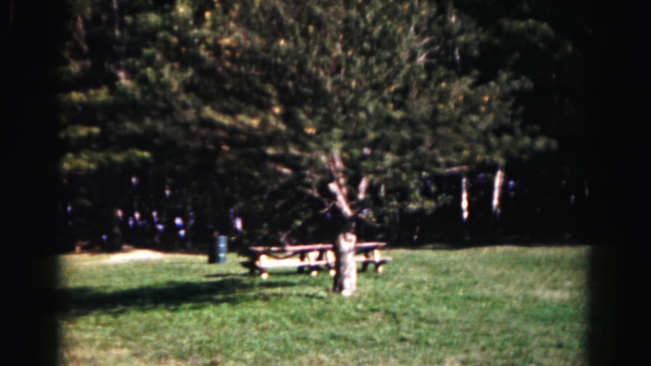 Sunlit park lawn with trees, a picnic table, and a dark trash can or post near the left side.