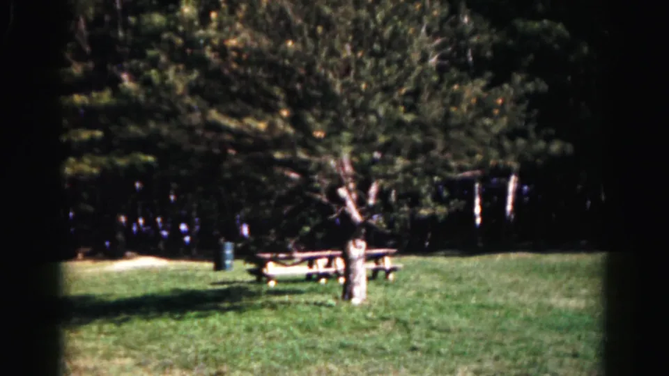 1963 Hagerstown home-movie frame showing open grass, a pale tree, a wooden picnic table, and shaded woods beyond.