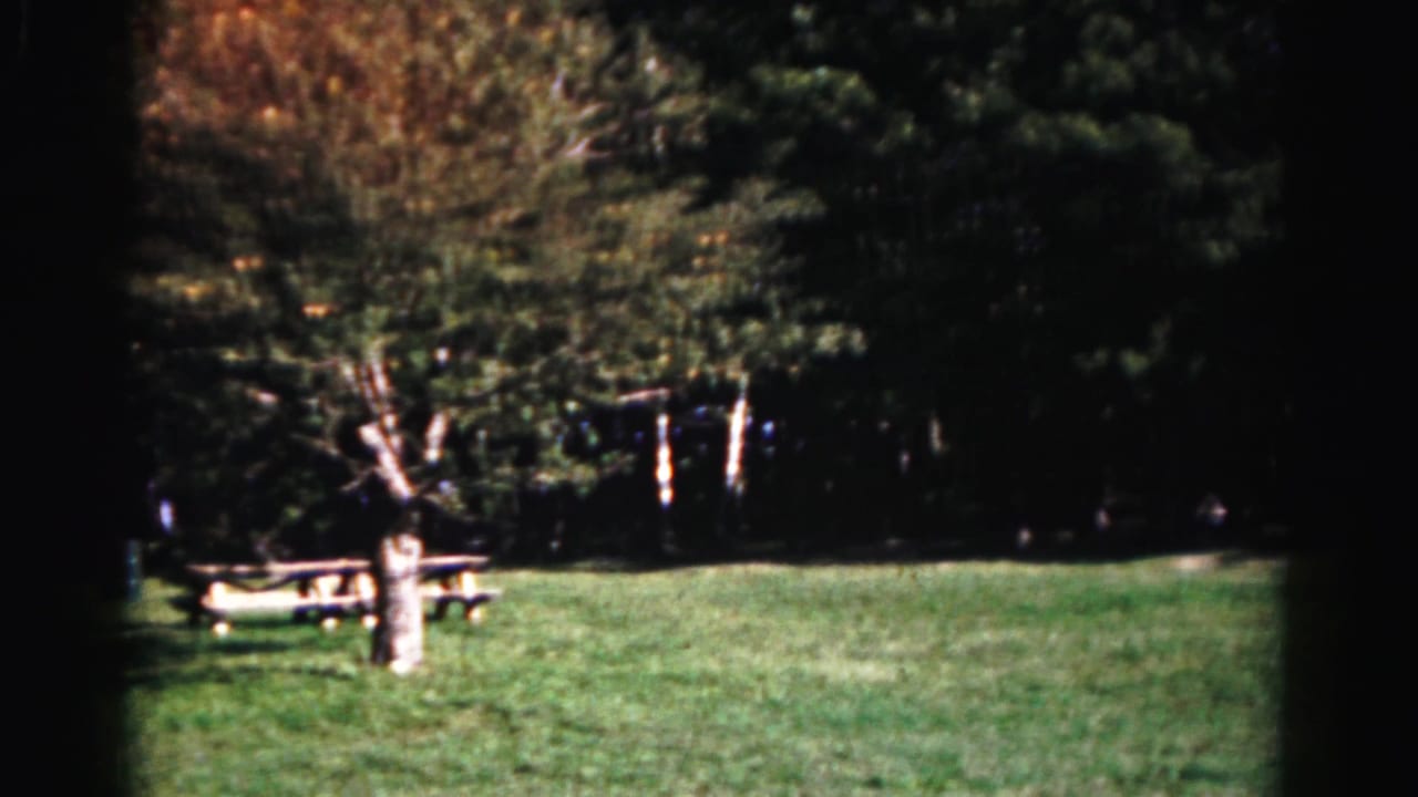 1963 Hagerstown park view with mown grass, a pale tree trunk, picnic table, and dark wooded background.