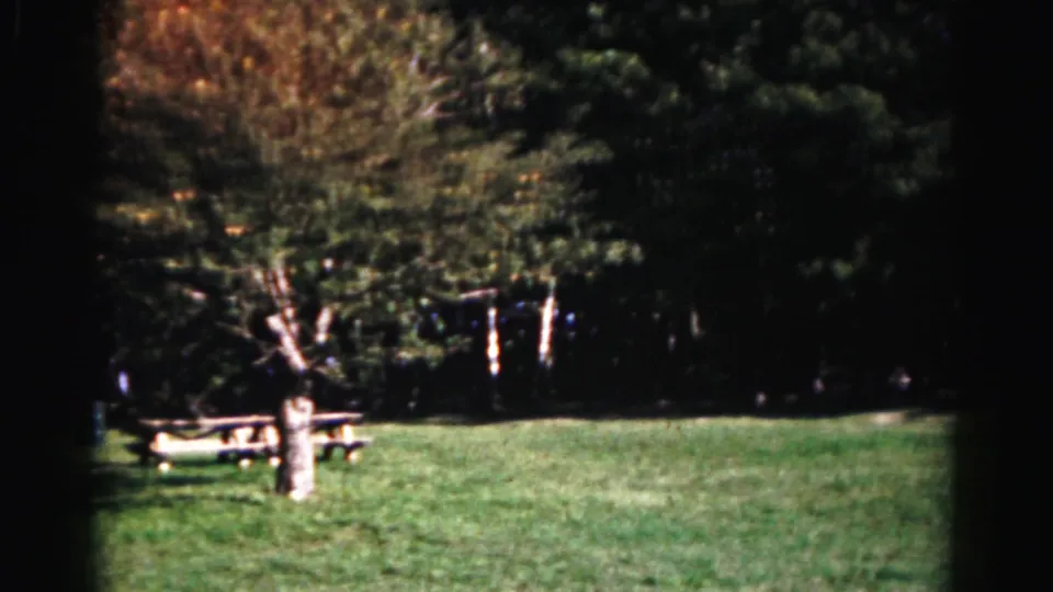 1963 Hagerstown park view with mown grass, a pale tree trunk, picnic table, and dark wooded background.