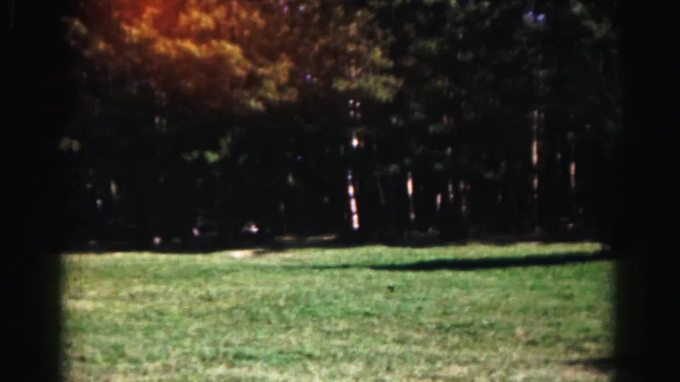 1963 Hagerstown park landscape with open grass, shaded trees, strong shadows, and a small dark object on the lawn.