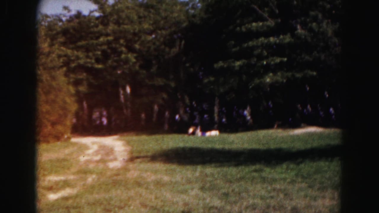 1963 Hagerstown community park lawn with a pale dirt path, dense trees, and distant seated visitors.