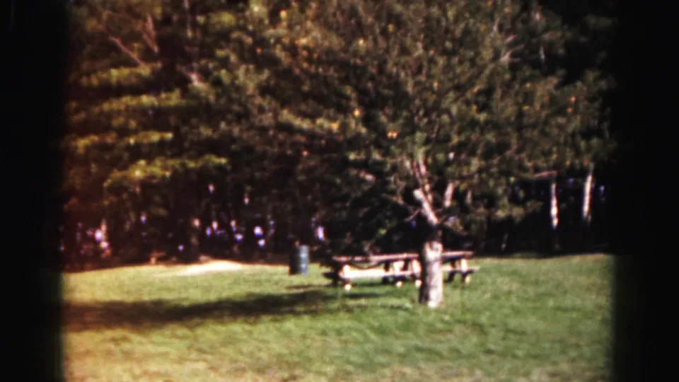 1963 Hagerstown park view with picnic tables, mature trees, a trash can, and distant visitors on the grass.