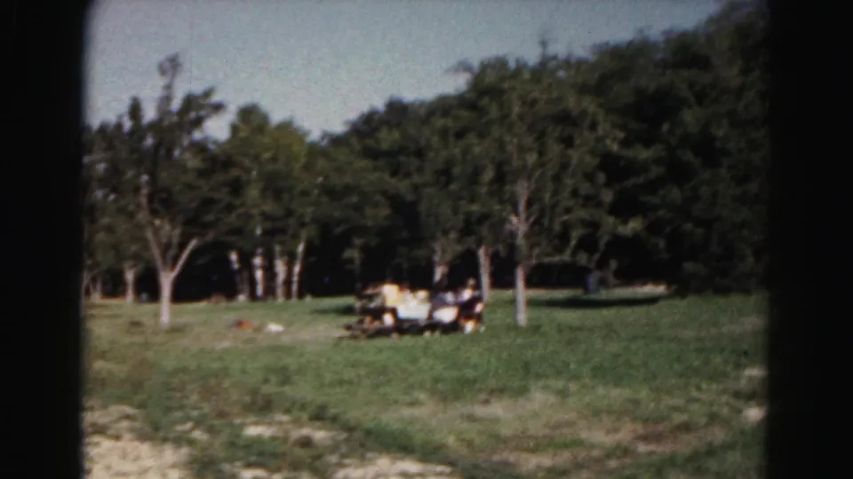Wooded grassy picnic area near Hagerstown, Maryland, with picnic tables and open park space in soft 1963 8mm color footage.