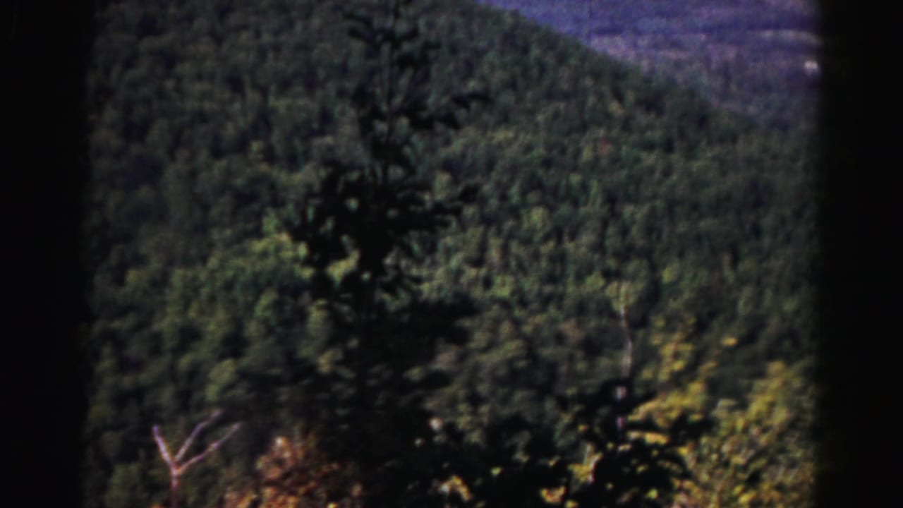 1963 8mm view near Hagerstown showing a wooded hillside, foreground branches, and a hazy mountain ridge.