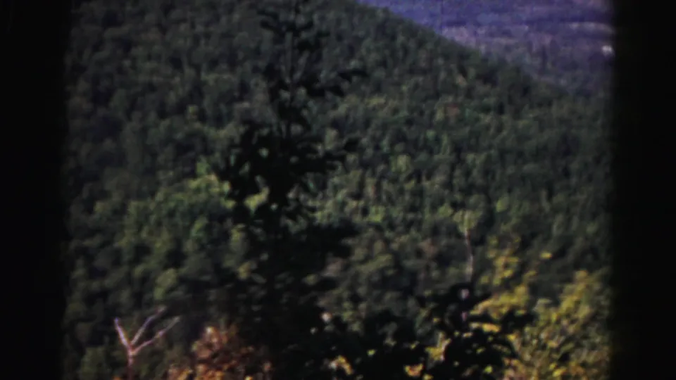 1963 8mm view near Hagerstown showing a wooded hillside, foreground branches, and a hazy mountain ridge.