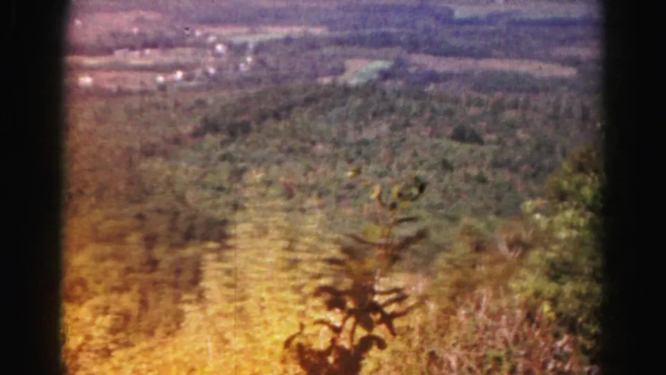 Hazy 8mm landscape near Hagerstown showing forested slopes, distant fields, and branches at the edge of the frame.