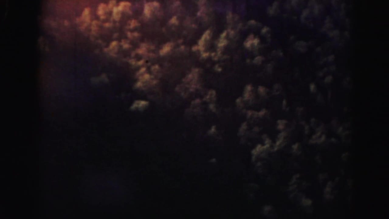 Dark overhead view of dense forest canopy with faint warm film flare at the edge.