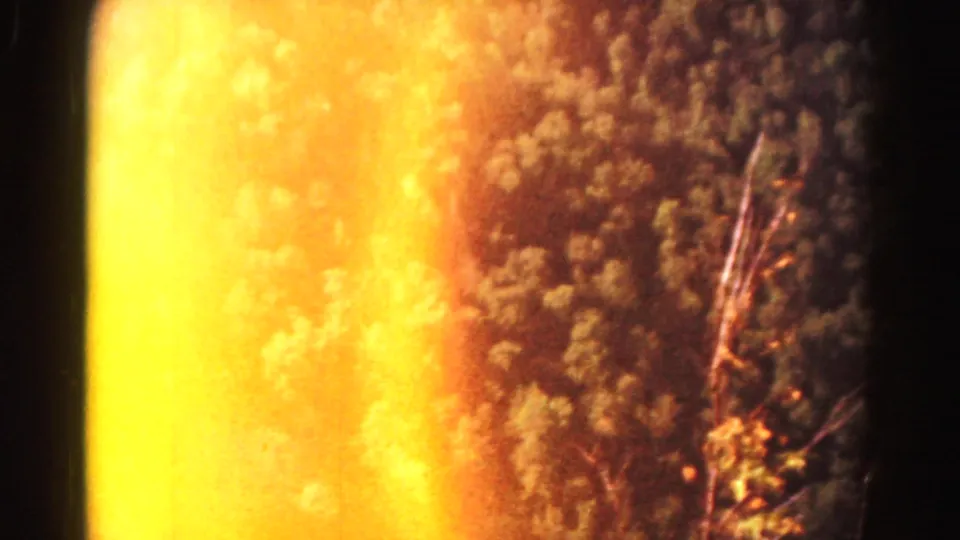 1963 8mm frame of treetops in Hagerstown, Maryland, partly obscured by intense golden-orange sunlight flare.