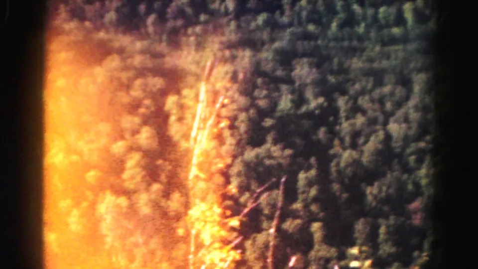 1963 Hagerstown 8mm frame showing wooded treetops crossed by warm exposure flare and a dark film border.