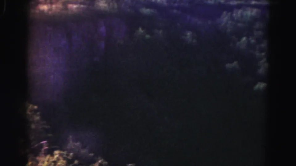Underexposed 8mm frame from the 1963 Hagerstown-area clip, showing dark foliage along the hillside.