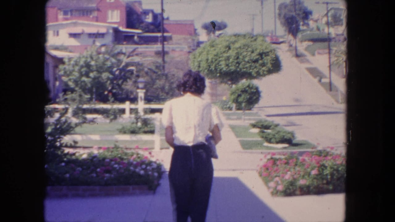 Woman seen from behind on a sunny sidewalk with lawns, flowers, houses, and utility poles.