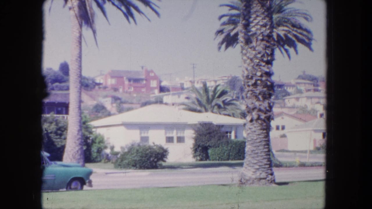 Palm trees, low homes, a street, and a parked turquoise car in a sunny residential area.