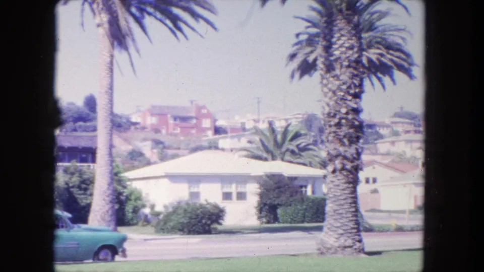 Closer 1962 Tijuana 8mm view of a palm trunk beside a road, with a blue car edge, white house, shrubs, and distant homes.