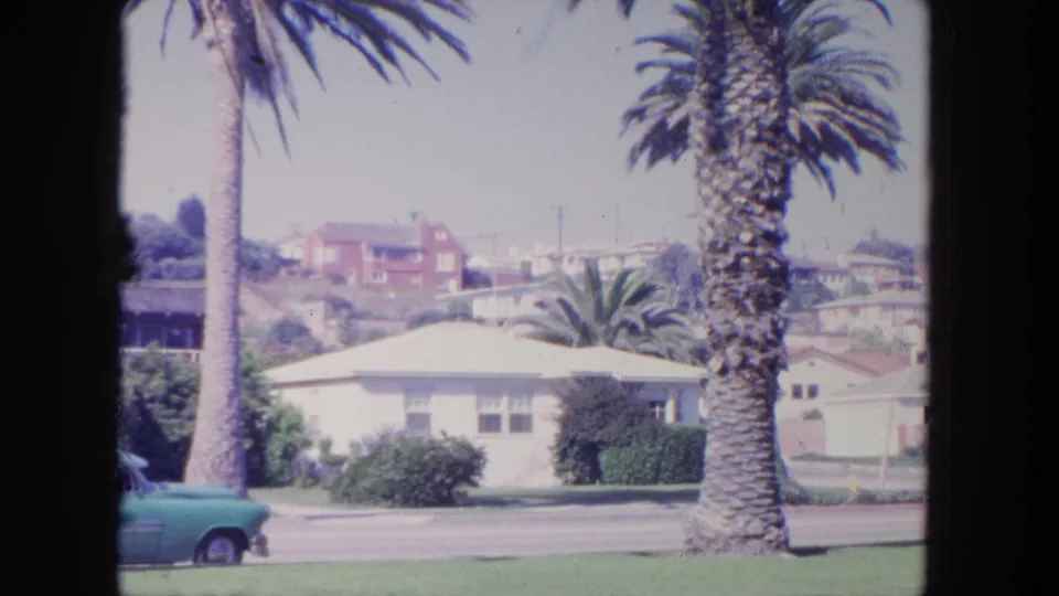 End frame from 1962 Tijuana 8mm footage showing a palm trunk, road, white residential building, shrubs, and a partial blue car.