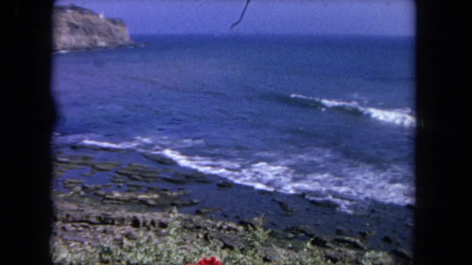 1962 Tijuana-area shoreline footage showing waves over rocks, soft blue sea, foreground vegetation, and a brief red flower near the lower edge.
