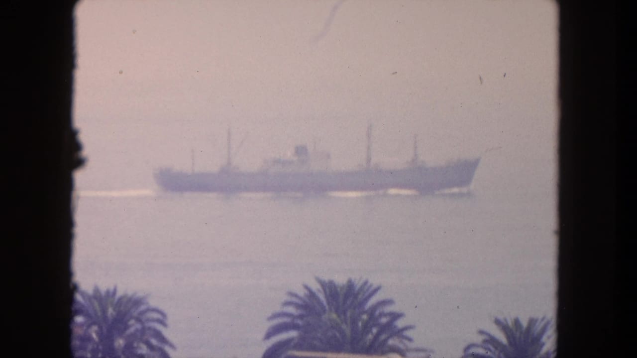 Distant cargo ship on a hazy ocean with palm fronds below and dark framing at the sides.
