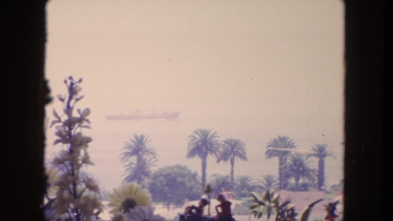 1962 Tijuana-area 8mm view through a window, showing palm trees, foreground plants, pale haze, and a faint ship offshore.