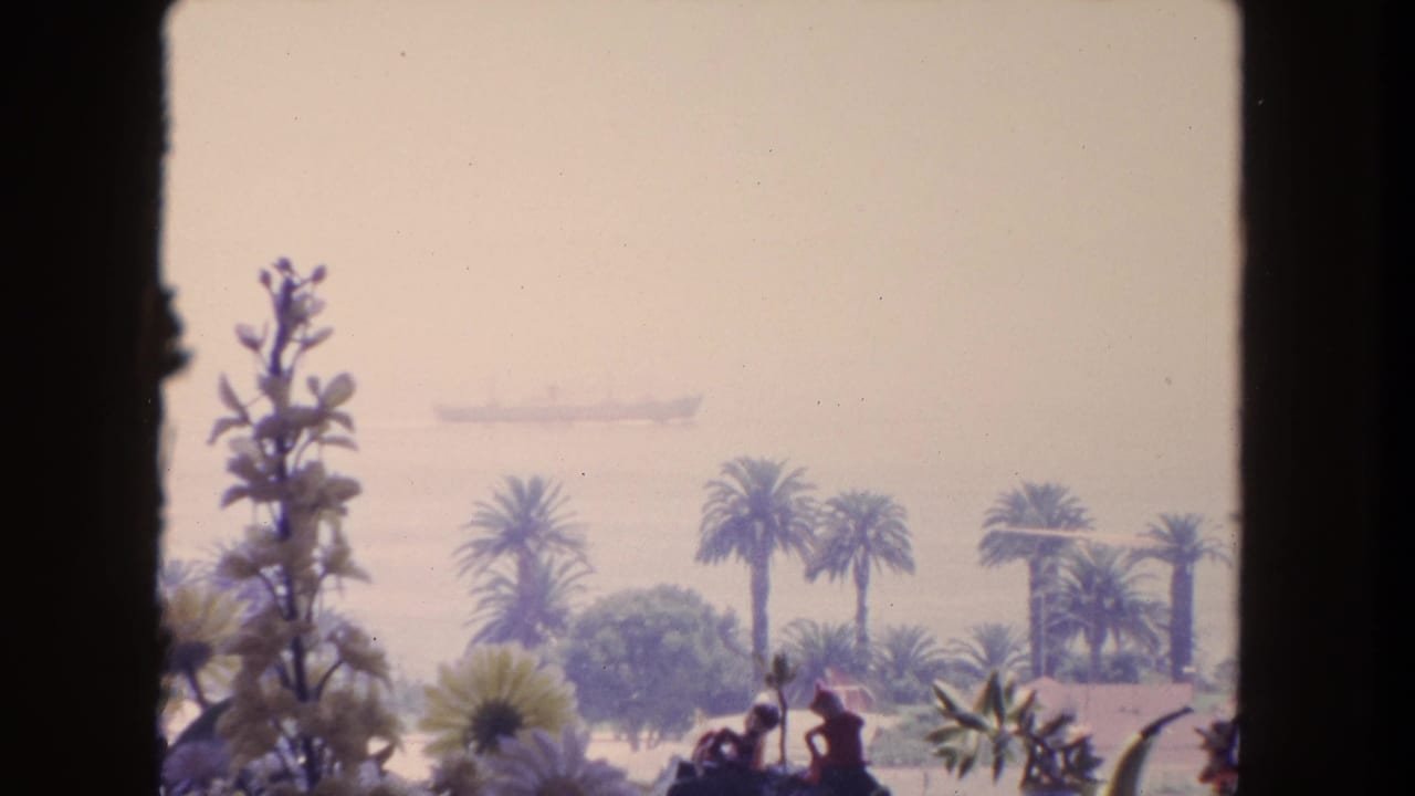 Palm-lined coastal view with a faint ship on the horizon, framed by dark vertical window edges.