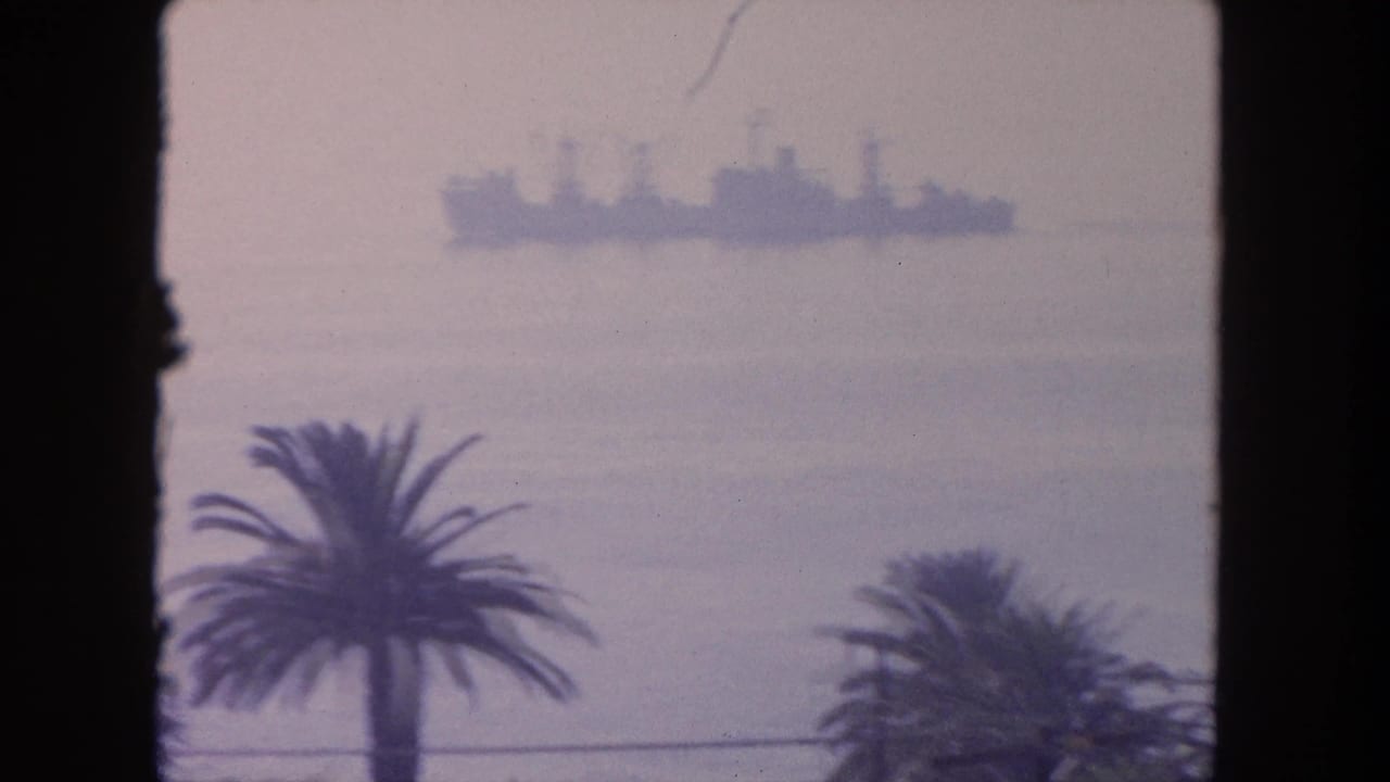 Hazy sea view with palm trees in front and a distant ship on the water.