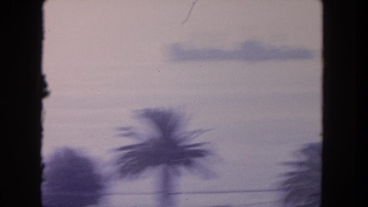 Blurred palm trees and a faint ship seen through a dark vertical frame.