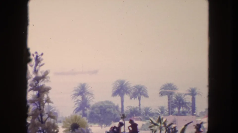 Wide 1962 Tijuana travel-film view of palms and shoreline vegetation with a faint vessel on hazy water.