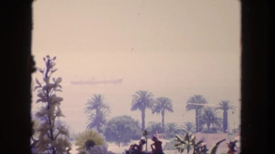 1962 Tijuana home-movie still with palms, shoreline plants, and a faint offshore vessel in heavy haze.