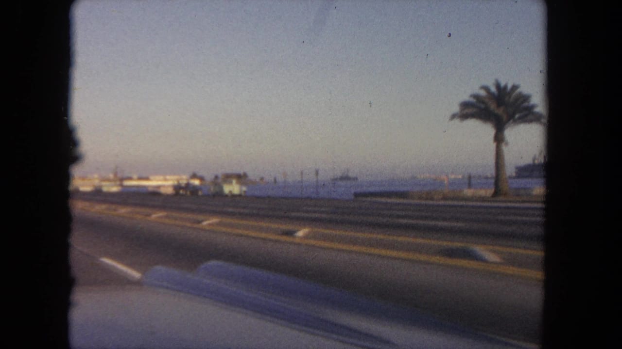 Palm tree beside a waterfront highway with buildings and sea in the distance.