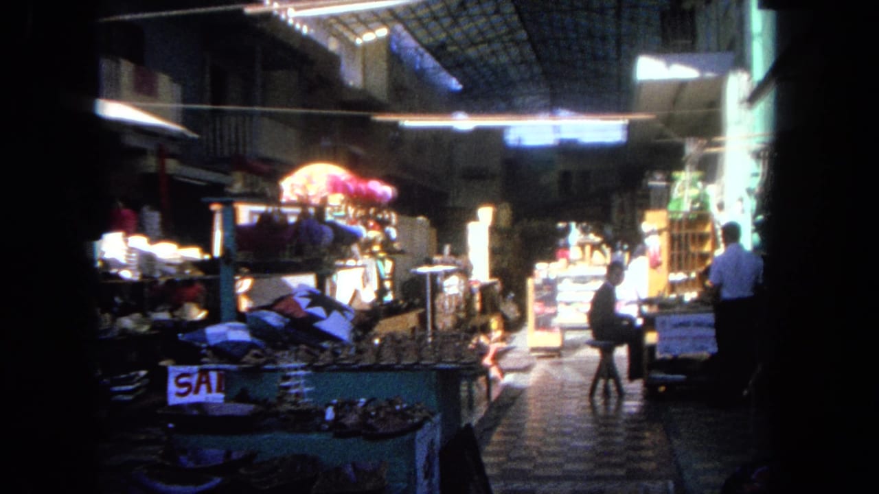 Market aisle with display counters, a standing figure, tiled floor, and bright shop lighting.