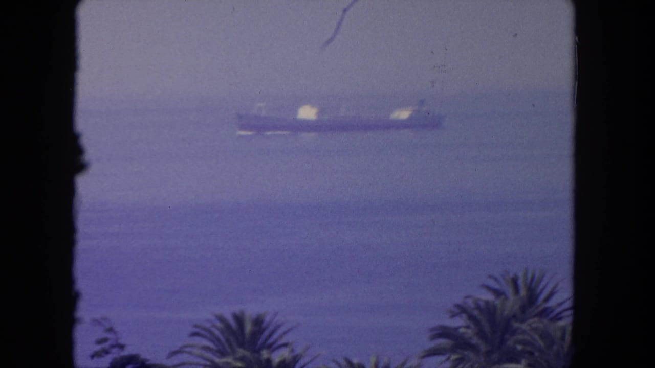 Distant ship on blue water seen through a dark window frame with palm tops below.