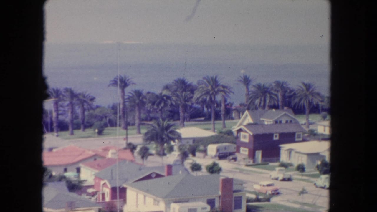 Palm-lined shoreline with rooftops and ocean seen through a dark window frame.