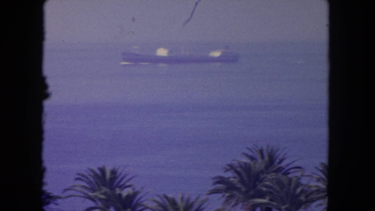 Distant large vessel on hazy water with palm tops in the foreground.