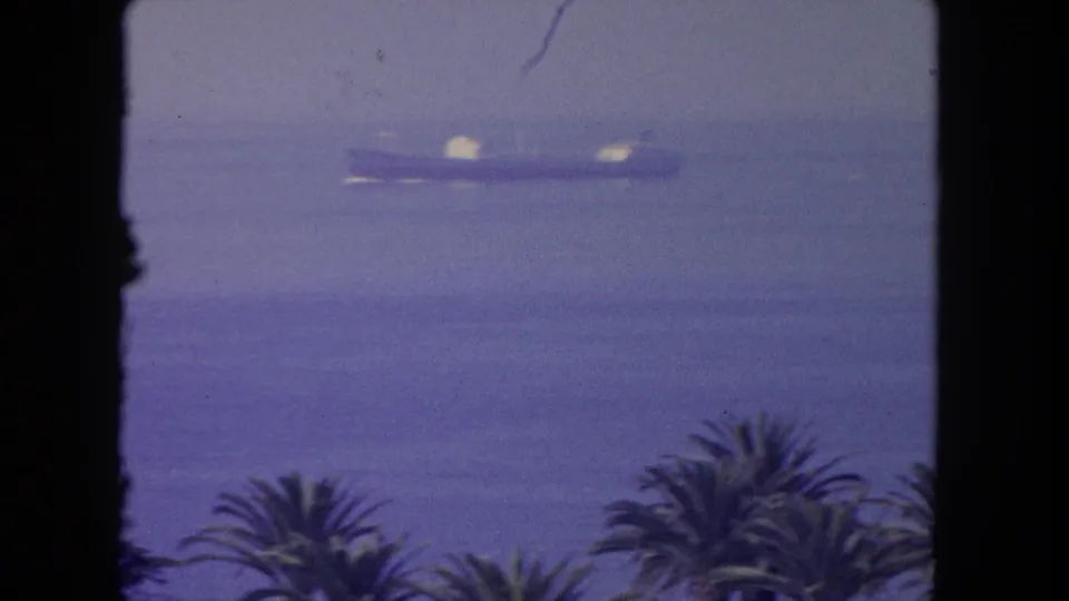 Distant naval or large vessel offshore near Tijuana, seen over palm crowns through a window-framed 8mm shot.