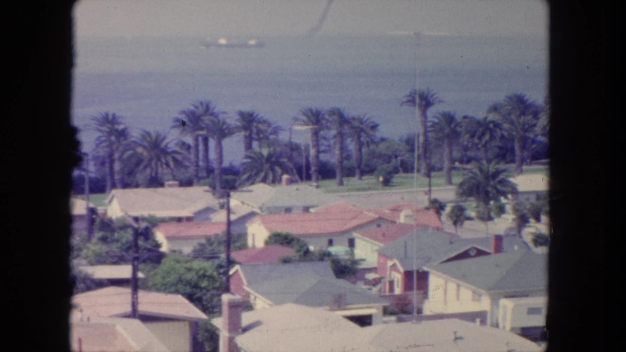 Palm-lined coastal homes with ocean and distant vessels beyond.