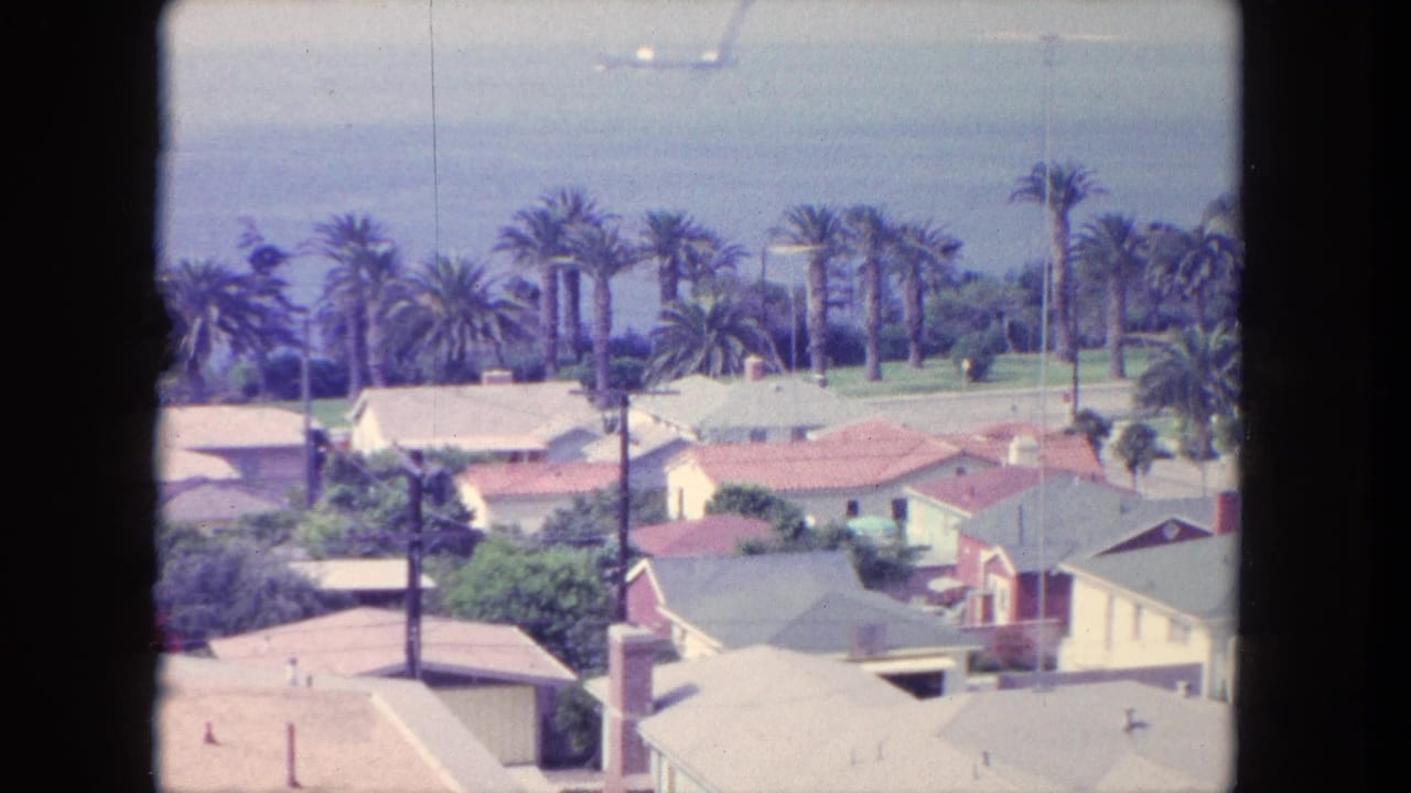 Elevated view of rooftops, palm trees, ocean water, and a small airplane in the sky.