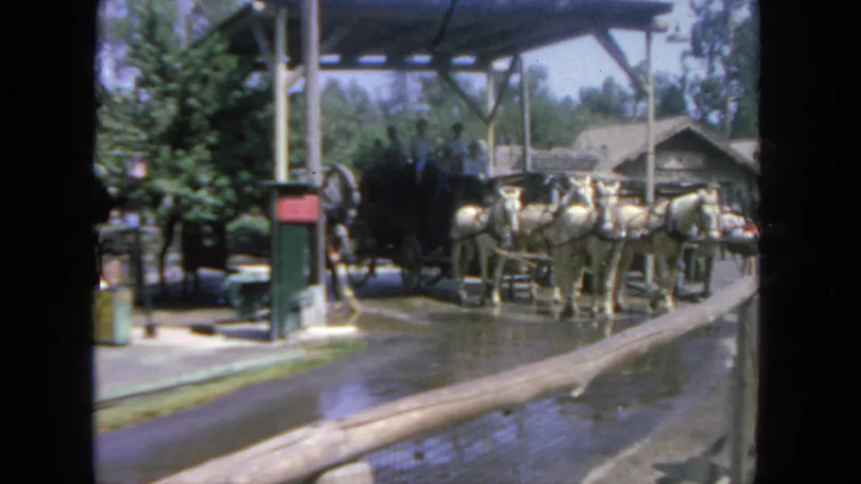 1962 San Diego home-movie frame showing four white horses harnessed to a black stagecoach beneath a shelter.