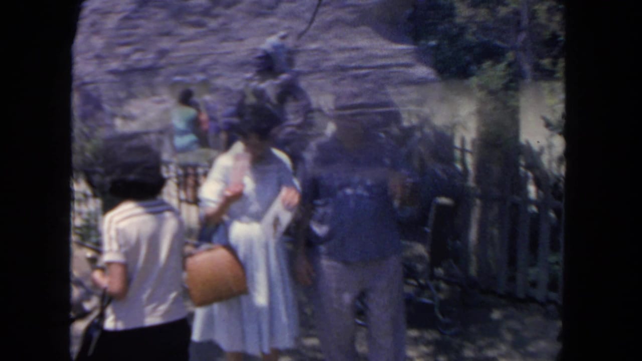 Tourists walk along a fenced outdoor path with trees and sandy ground behind them.