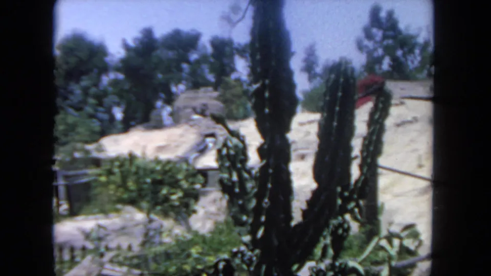 1962 San Diego home-movie still with cacti partly obscuring pale rock landscaping, green shrubs, fence rails, and background trees.