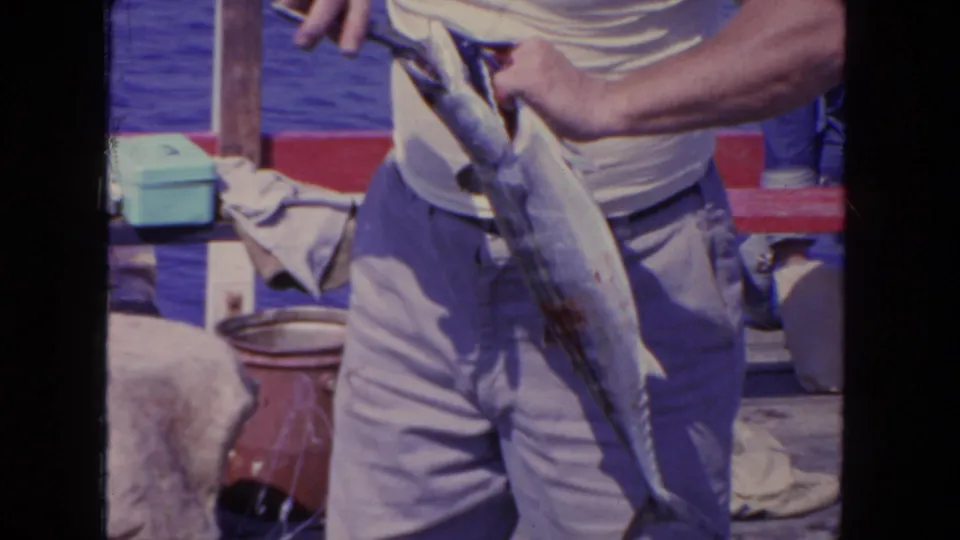 The fisherman continues handling the large fish on deck, framed by a red rail, fishing gear, and open water in 1962 San Diego footage.