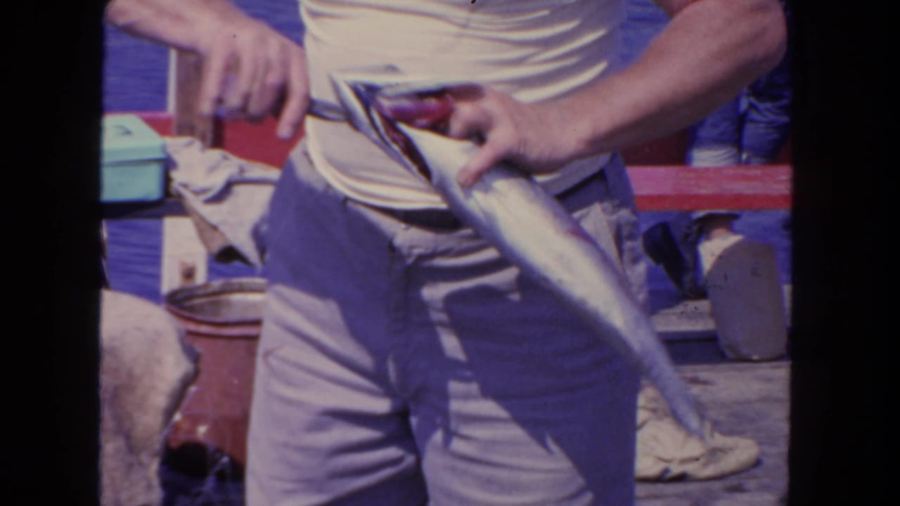 Close 1962 San Diego fishing-boat view of an adult man holding a long silver fish near deck gear and railings.