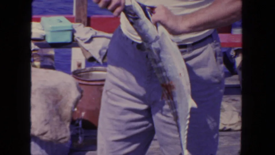Close 1962 San Diego fishing-boat frame showing a large fish held upright beside an adult man in light trousers.