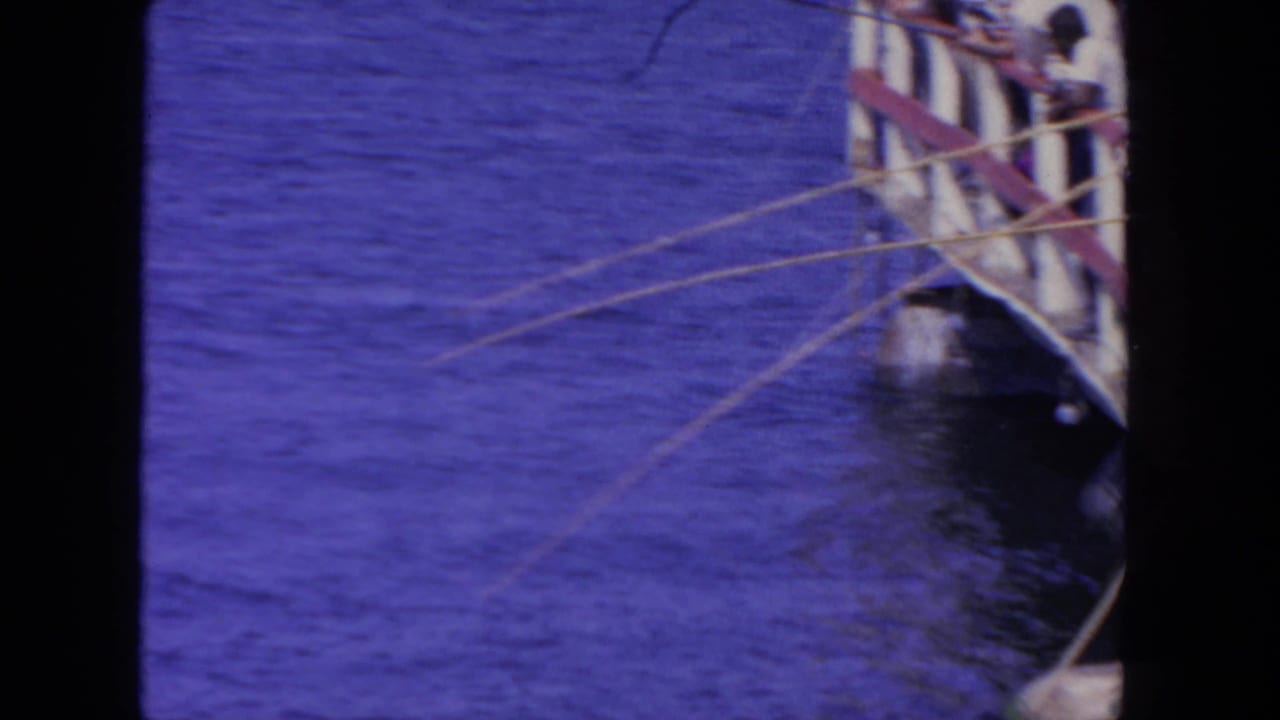 Fishing lines arc from the edge of a wooden platform into deep blue water, with several people partly visible at the rail.