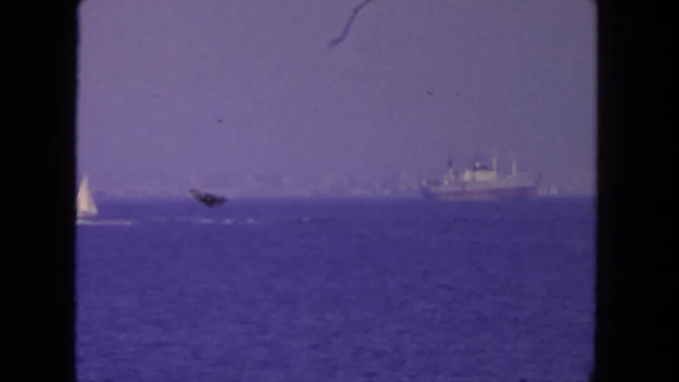 A visitor-shot 8mm frame from 1962 San Diego shows a sailboat at left and a larger vessel near the distant coastline.