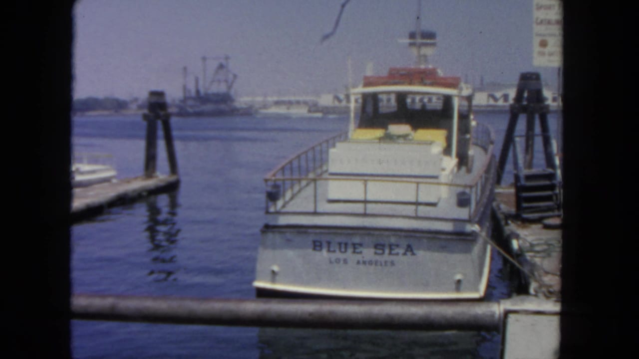 White Blue Sea boat docked at a harbor pier with water and industrial waterfront behind it.