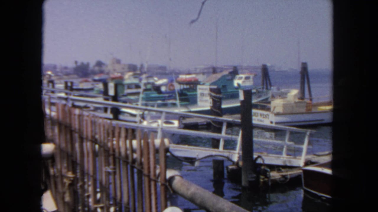 Small boats tied along a harbor dock with railings and pilings in the foreground.