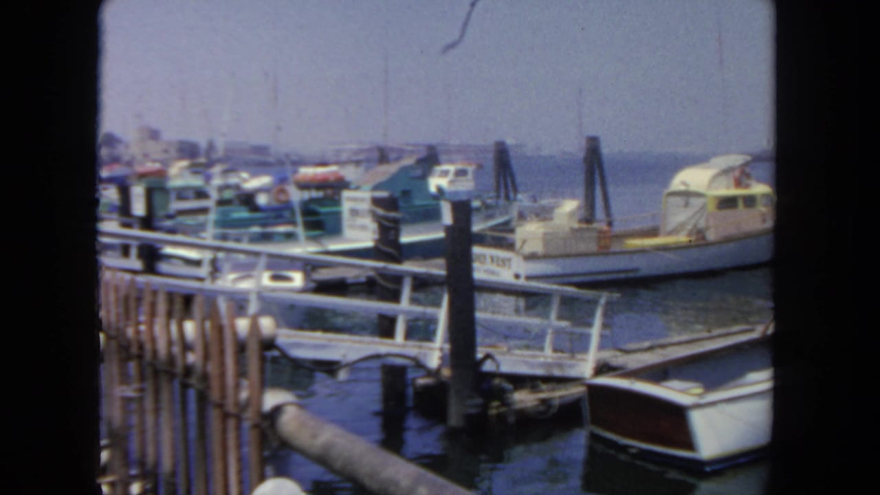 San Diego harbor scene from 1962 showing cabin boats tied near wooden pilings, foreground railings, calm water, and a hazy distant shore.