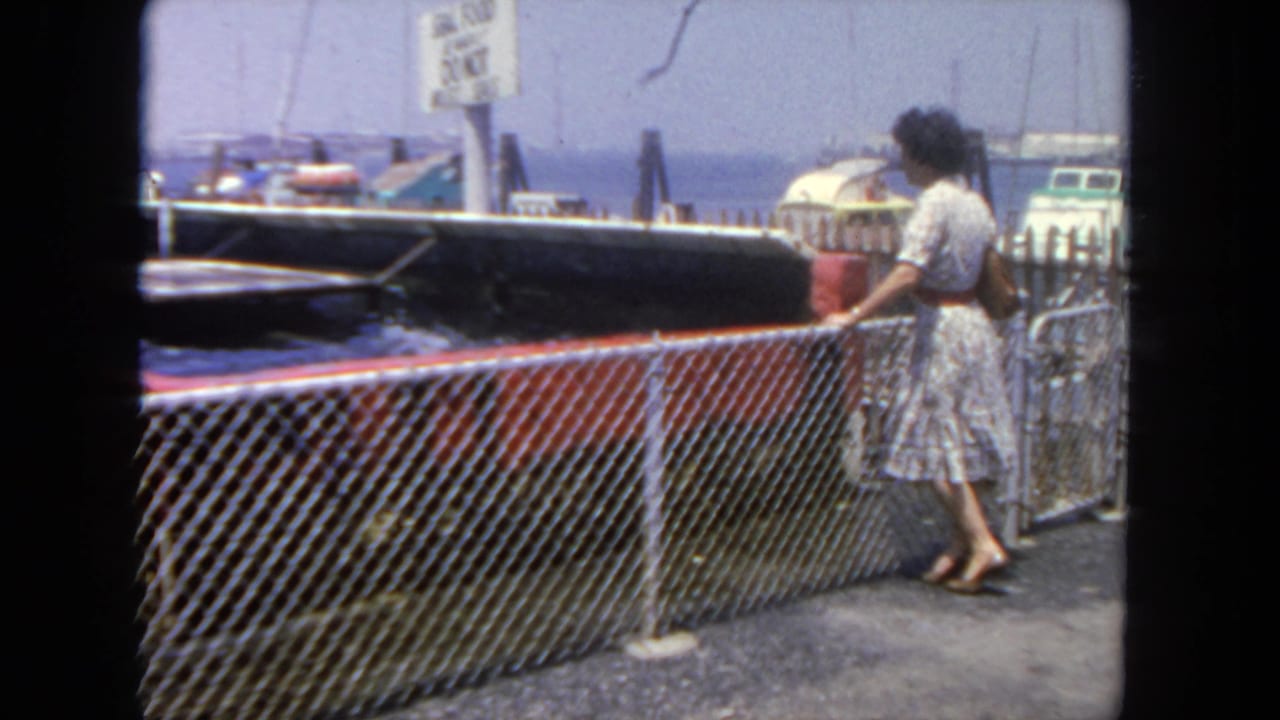 A woman in a patterned dress remains at a San Diego harbor fence, facing boats and a visible warning sign near the dock area.