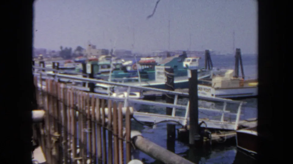 A wider San Diego harbor view shows small boats tied along piers, foreground railings, dark pilings, water, and a distant shoreline.