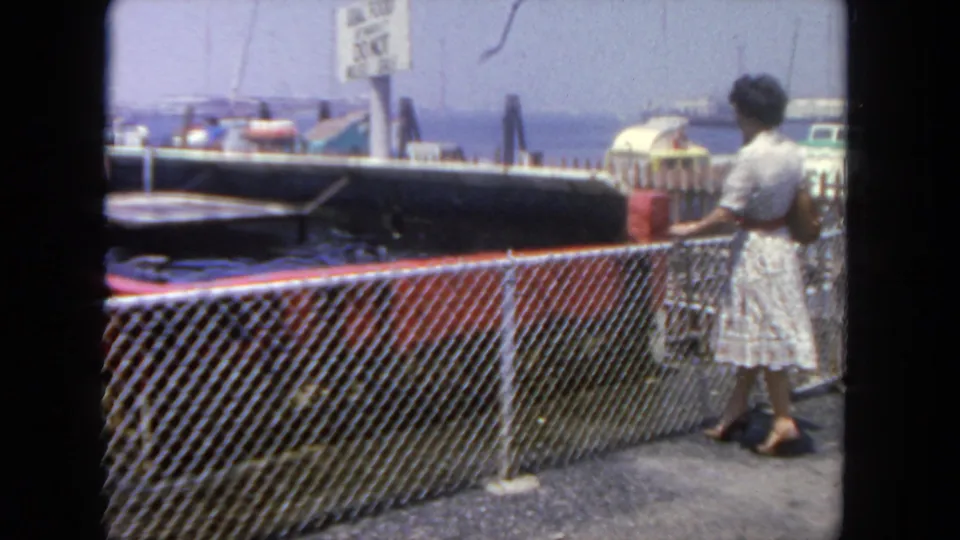 A woman in a patterned dress and heels observes the seal display from behind a chain-link fence in the San Diego aquarium setting.