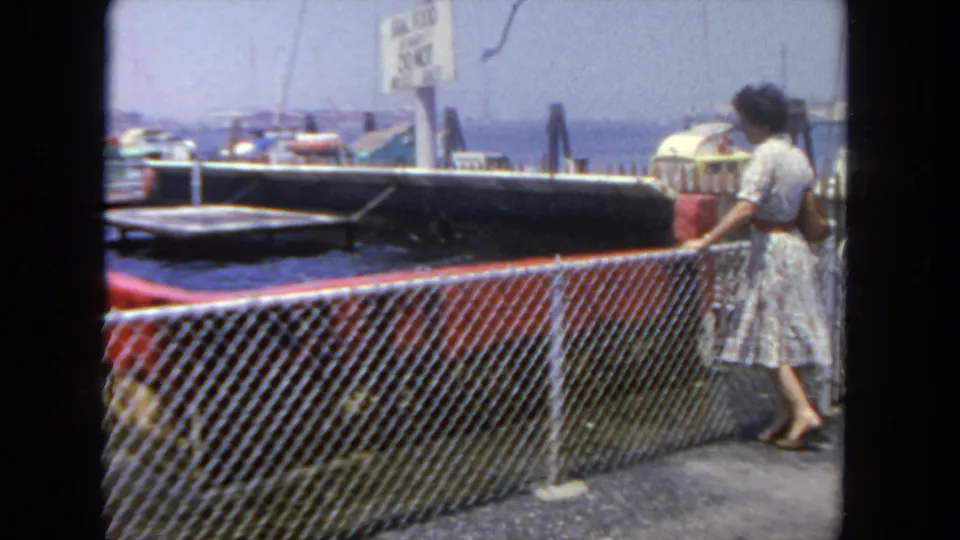 The visitor stands beside the fenced viewing area while the confined seal tank, railings, small boats, and hazy waterfront remain visible.